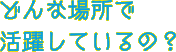 どんな場所で活躍しているの？