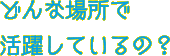 どんな場所で活躍しているの？