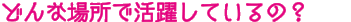 どんな場所で活躍しているの？