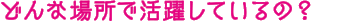 どんな場所で活躍しているの？