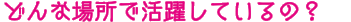 どんな場所で活躍しているの？