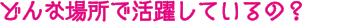 どんな場所で活躍しているの？