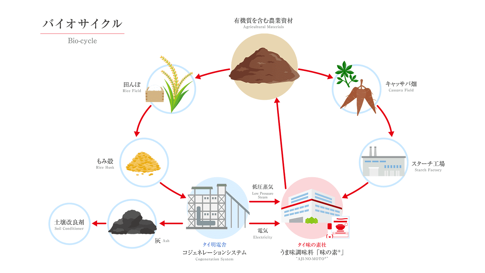 タイ味の素社が目指すバイオサイクル
