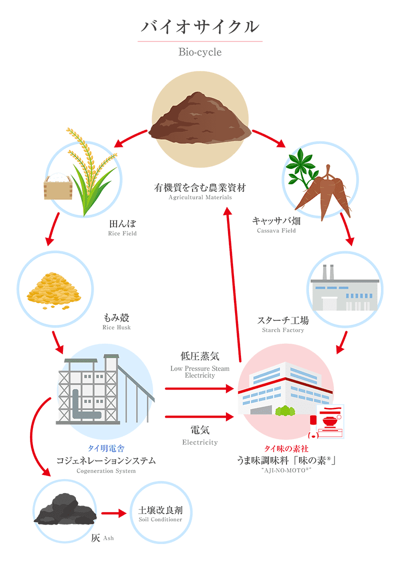 タイ味の素社が目指すバイオサイクル