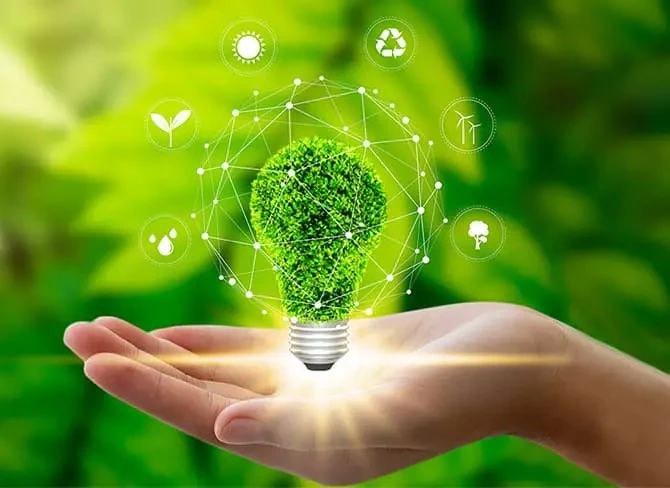 手の平に植物をあしらった電球が輝いている画像