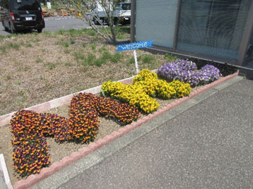 明電機電工業の花壇