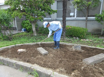 植物達