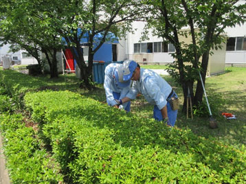 植物達