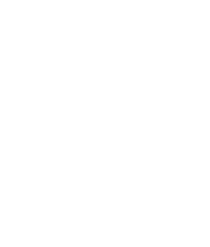 海外連結子会社19社（2024年3月現在）